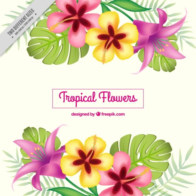 Floral background with exotic plants