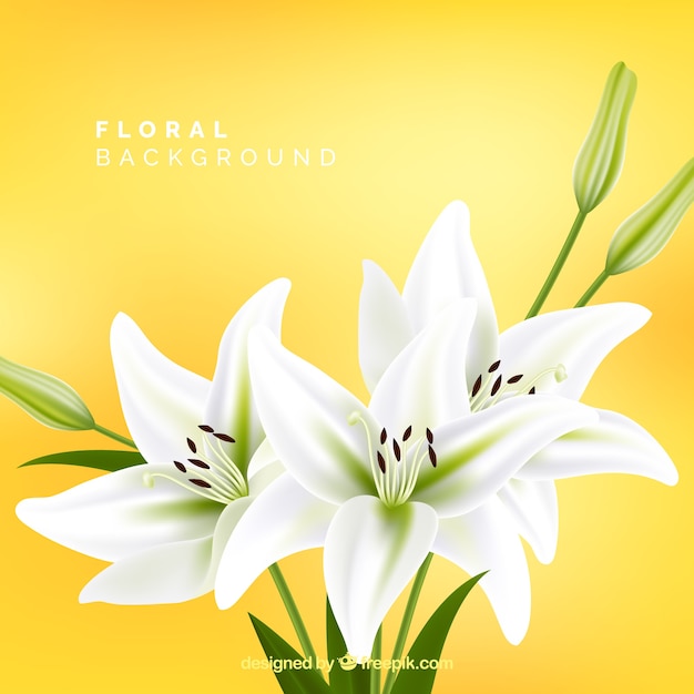Floral background with white lilies