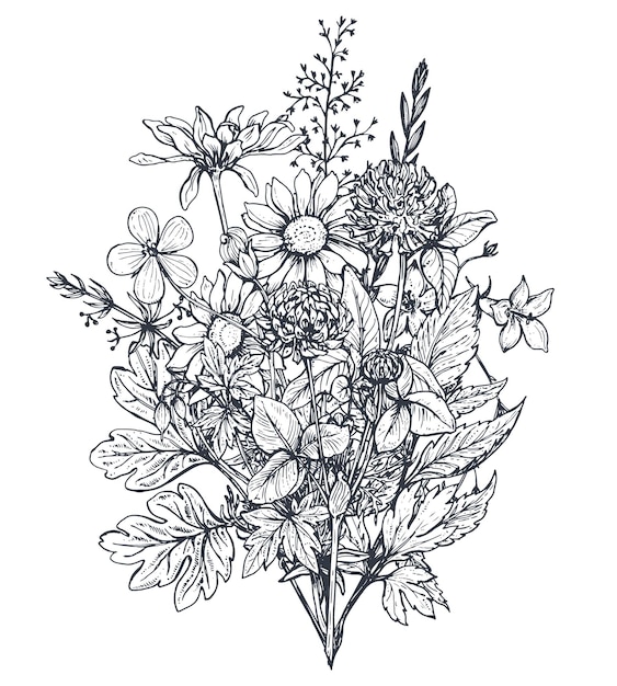 Premium Vector Floral Bouquets With Black And White Hand Drawn Herbs