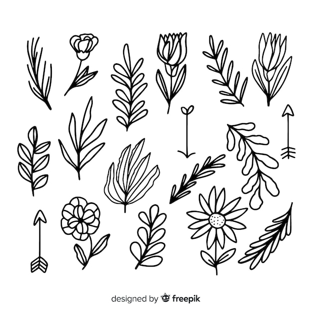 Download Floral decoration elements | Free Vector