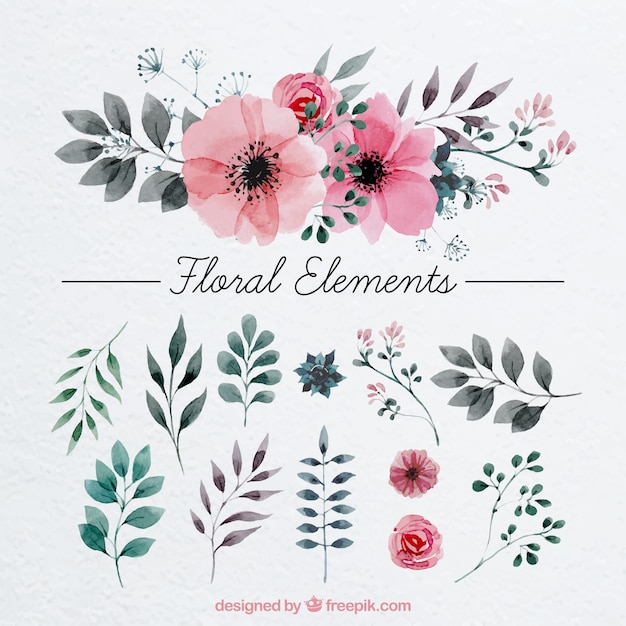 Download Watercolor Flower Vectors, Photos and PSD files | Free ...