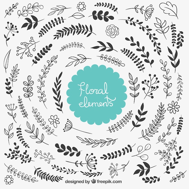 Download Free Vector | Floral decorative elements