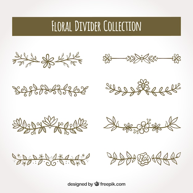 Download Floral divider collection | Free Vector