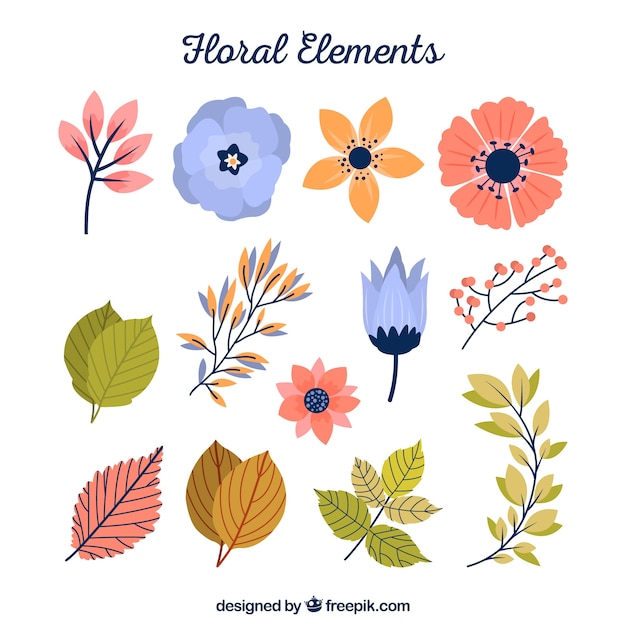 Download Free Vector | Floral element collection with flat design