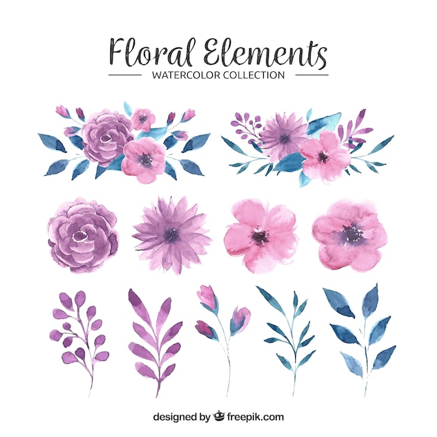 Download Floral elements collection in watercolor style | Free Vector
