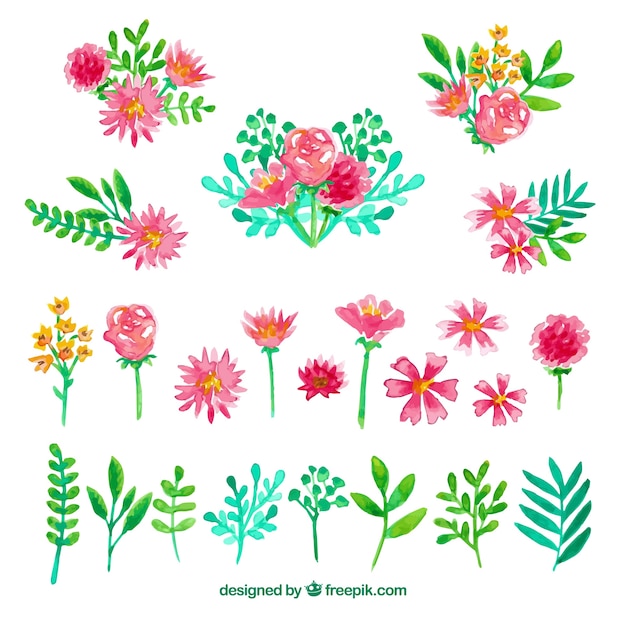 Download Free Vector | Floral elements collection