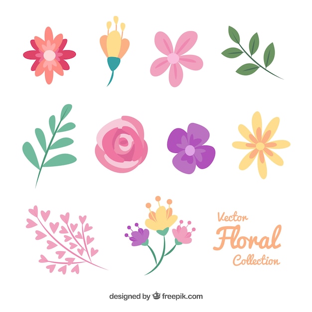 Download Free Vector | Floral elements collection