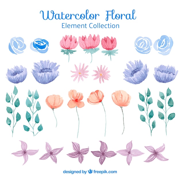 Floral elements collection | Free Vector