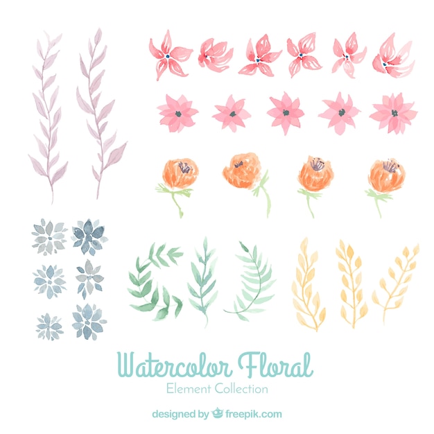 Floral elements collection | Free Vector