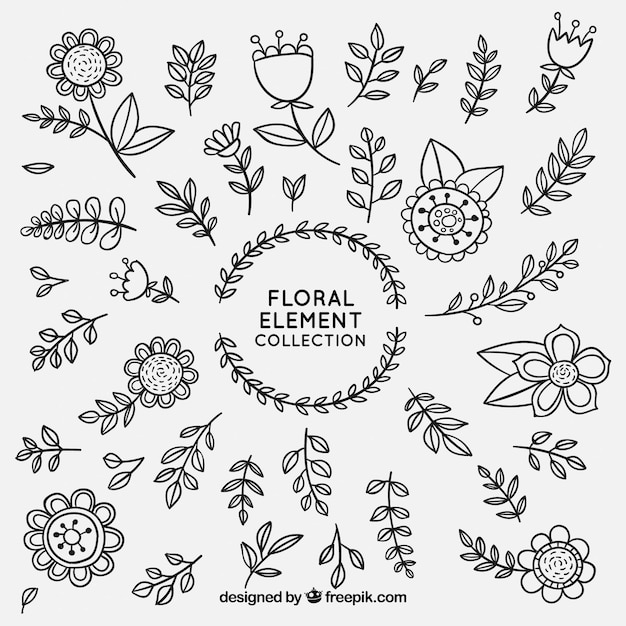 Download Floral elements collection | Free Vector