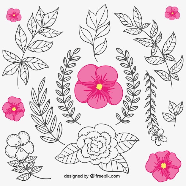 Download Floral elements in hand drawn style Vector | Free Download
