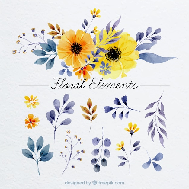 Download Floral elements in watercolor style Vector | Free Download