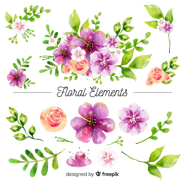 Floral elements Vector | Free Download