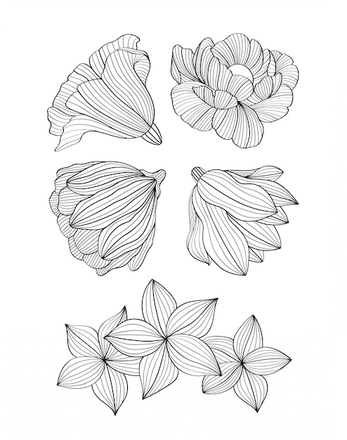 Download Free Floral Hand Drawn Black And White Illustration Premium Vector Use our free logo maker to create a logo and build your brand. Put your logo on business cards, promotional products, or your website for brand visibility.