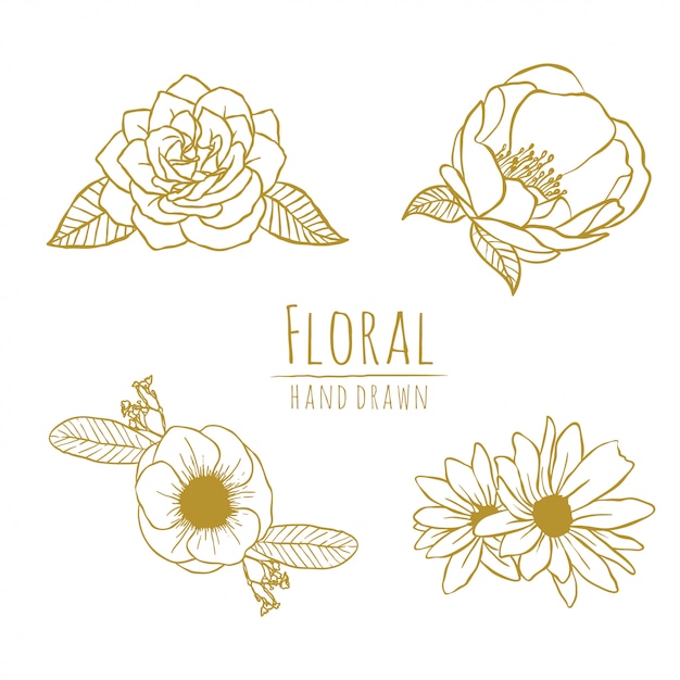 Floral hand drawn flower gold line art | Premium Vector