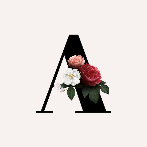 Download Floral letter a font Vector | Free Download
