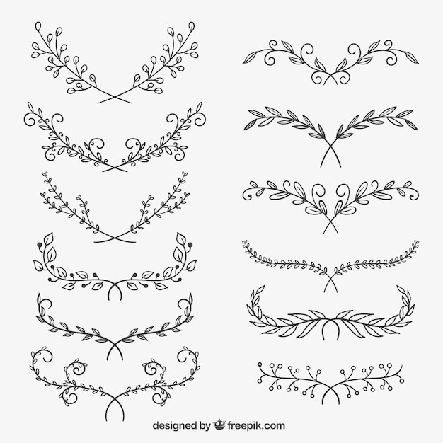 Floral ornaments Vector | Free Download