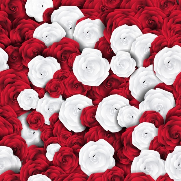白と赤のバラの花のパターン 無料のベクター