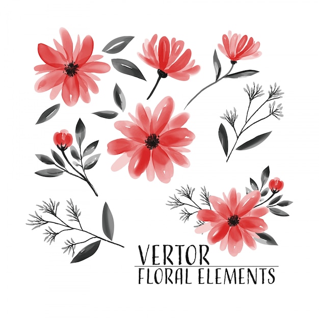 Floral set of floral collection watercolor. Vector | Premium Download