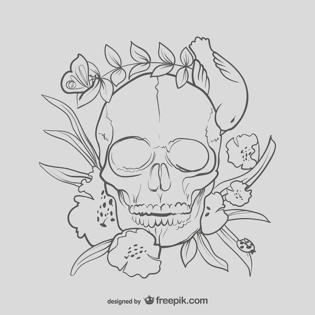 Floral skull drawing Vector | Free Download