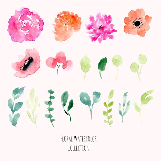 Floral watercolor collection | Premium Vector