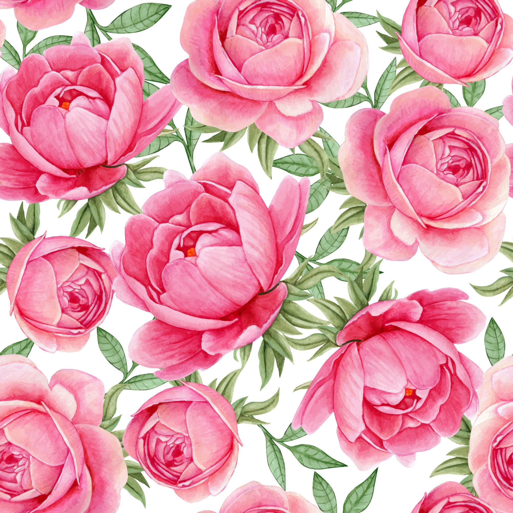 Premium Vector | Floral watercolor seamless pattern elegant peonies ...