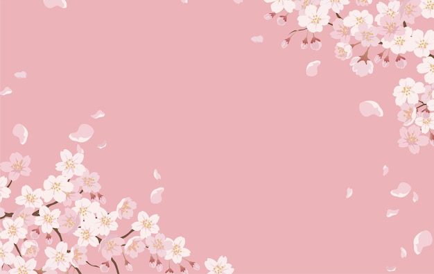 桜の花 画像 無料のベクター ストックフォト Psd