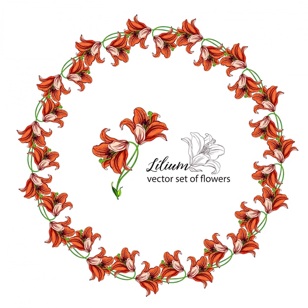 Premium Vector | Floral wreaths from the flower buds of the lily