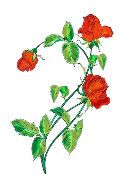 Download Premium Vector | Flower arrangement with red rose flowers.