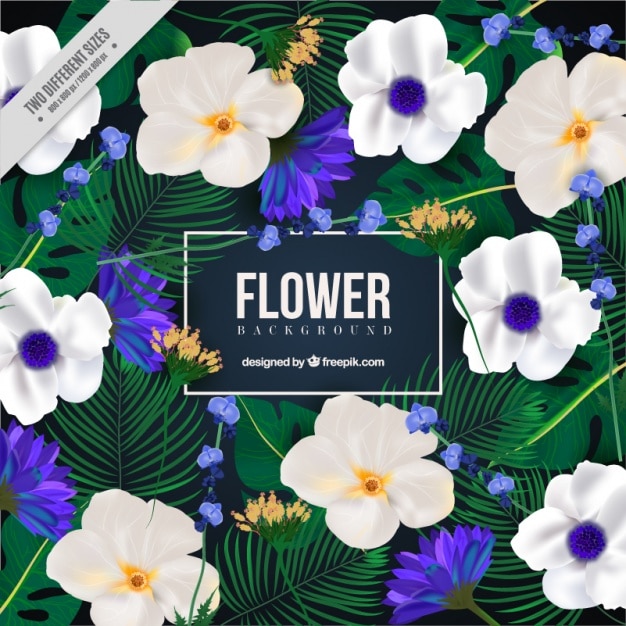 Flower background in realistic style Vector | Free Download