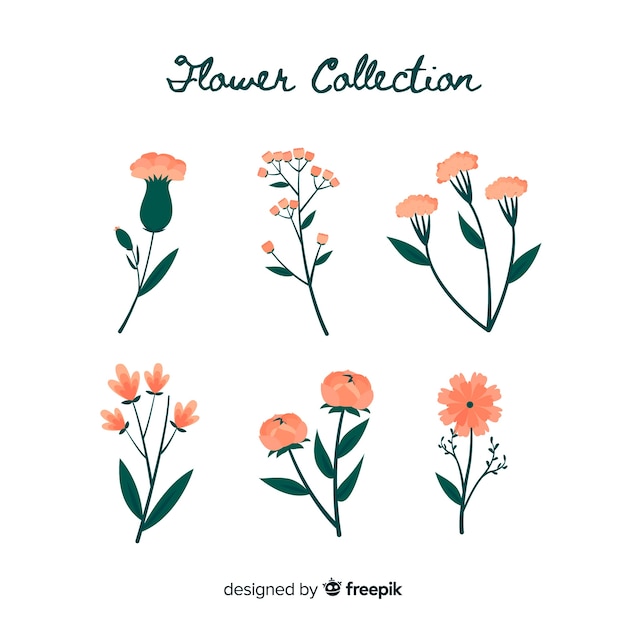 Free Vector | Flower collection