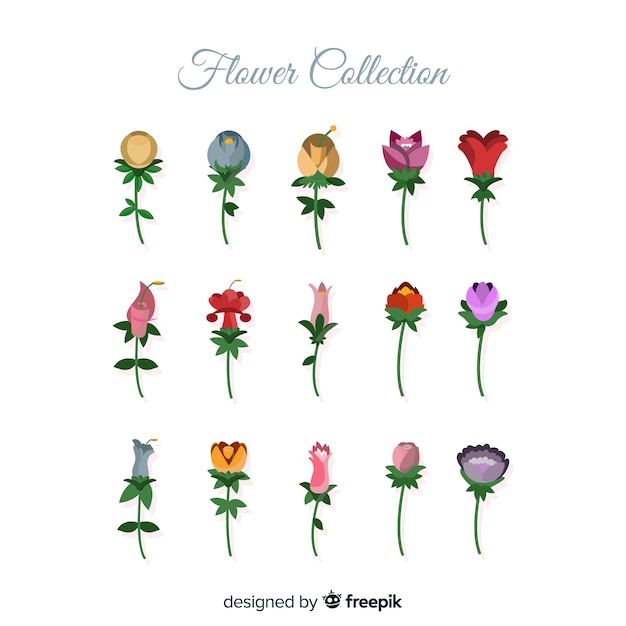 Free Vector | Flower collection