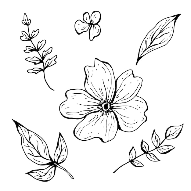 花の落書き 手描きのベクトルイラスト モノクロの黒と白のインクスケッチ 線画 白い背景で隔離 ぬりえ プレミアムベクター