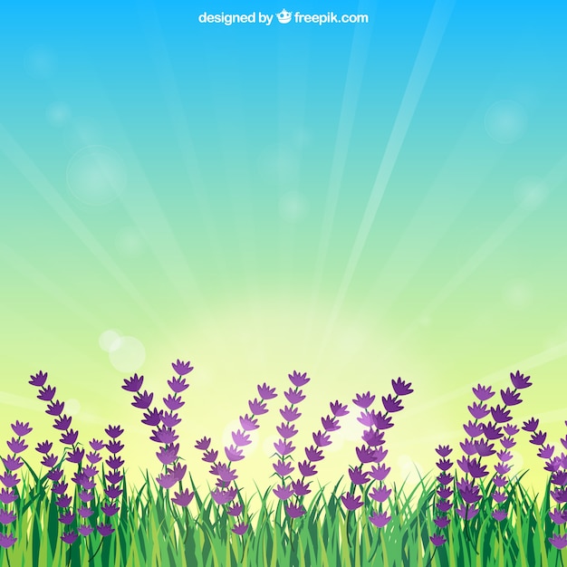 Free Vector | Flower field with sunrise