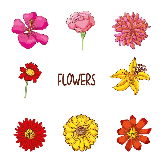 Premium Vector | Flower hand drawn set isolated over white background.