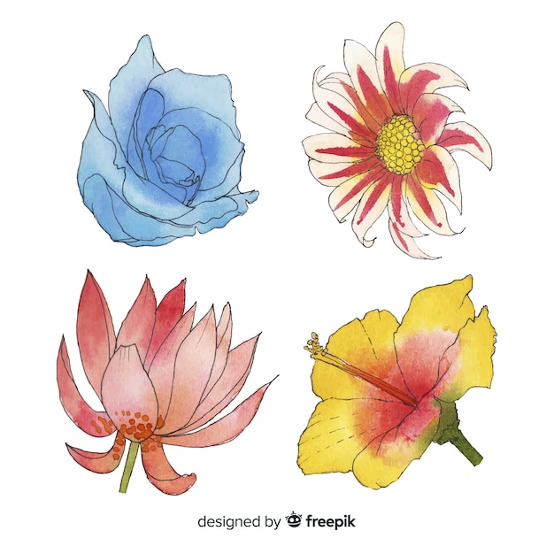 Free Vector | Flower and leaf collection