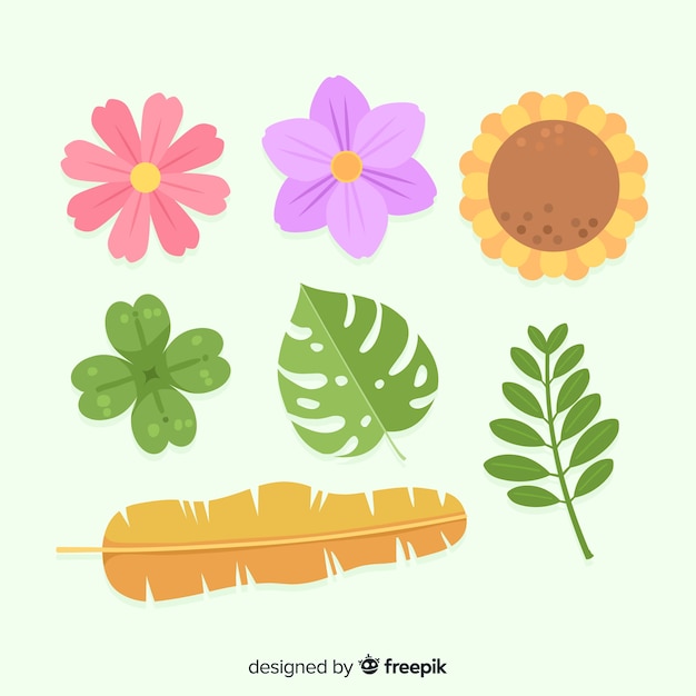 Flower and leaf collection | Free Vector