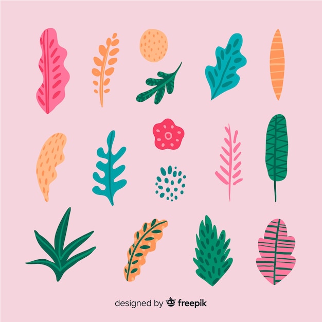 Free Vector | Flower and leaf collection
