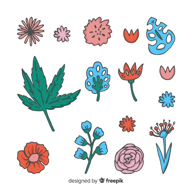 Download Flower and leaf collection | Free Vector