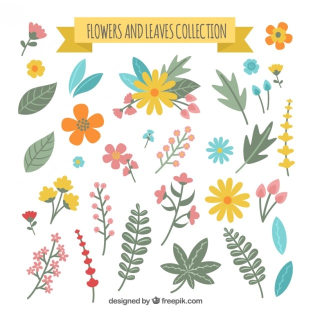 Flower and leaves collection Vector | Free Download