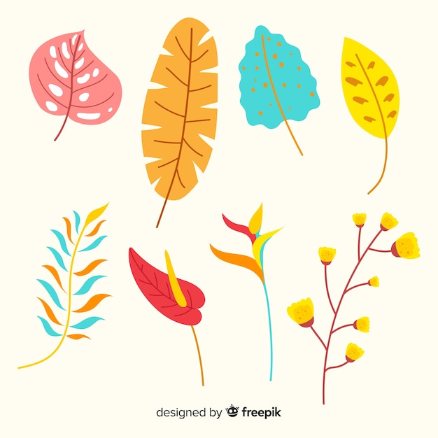 Flower and leaves collection | Free Vector