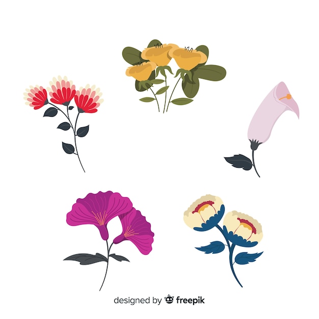 Flower and leaves collection | Free Vector