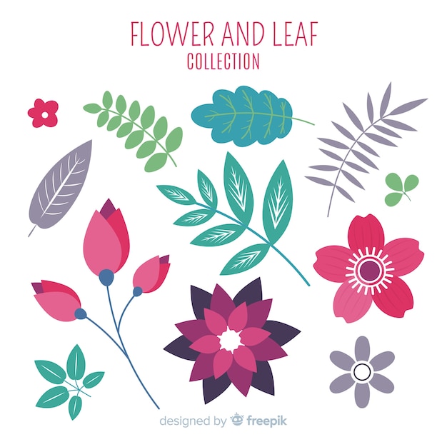 Free Vector | Flower and leaves collection