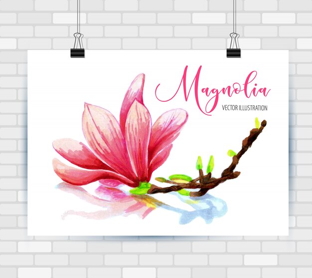 Flower magnolia Vector | Premium Download