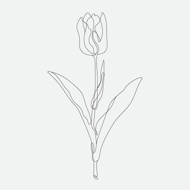 Premium Vector | Flower monoline contemporary art drawing