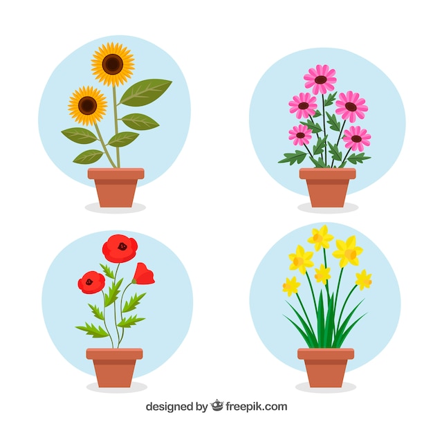 Flower pot collection with flat design Vector | Free Download