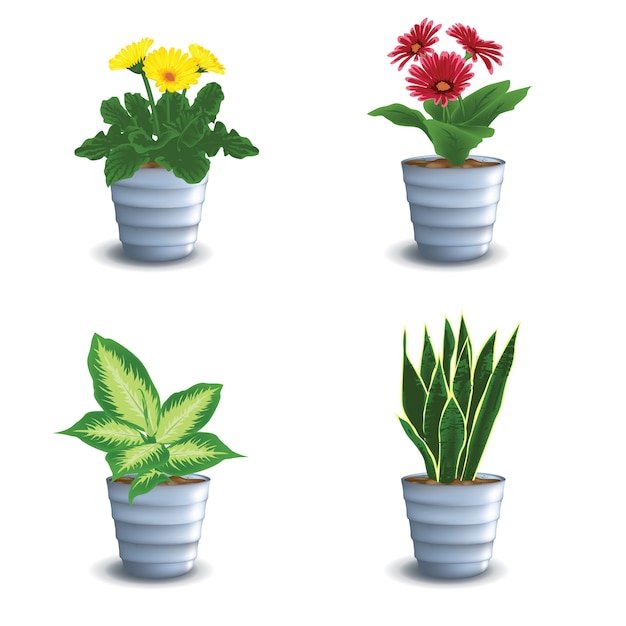 Download Flower pot with beautiful colorful flower vector Vector ...