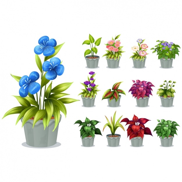 Flower pots collection | Premium Vector