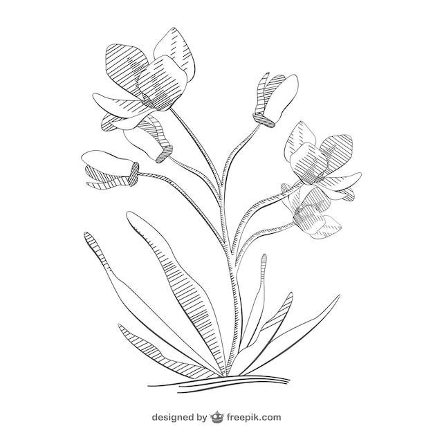 Flower sketch design | Free Vector
