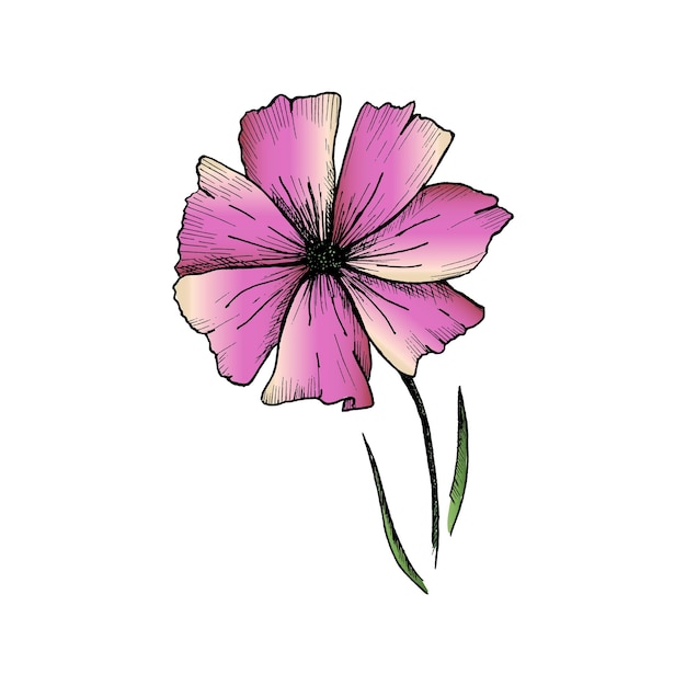 Premium Vector | Flower sketch. hand-drawn pink flower isolated on ...